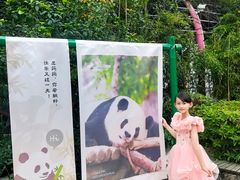 -灵玲国际马戏城