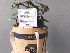 -鹿岛会员店 (龙湖三千集天街店)