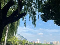 -天鹅湖体育公园