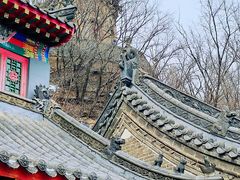 -高尔山公园