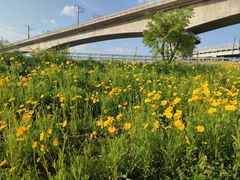 -白鹭湾湿地公园