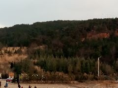 -烟墩角天鹅湖