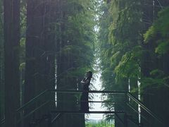 -渌洋湖湿地公园