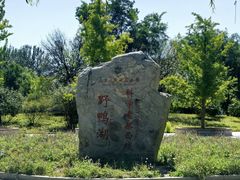 -野鸭湖国家湿地公园