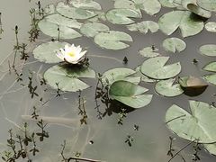 -艾溪湖湿地公园