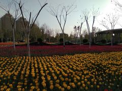 -廊坊文化艺术中心