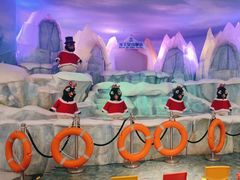 -帝企鹅自助餐厅•儿童岛•真企鹅(长隆企鹅酒店)