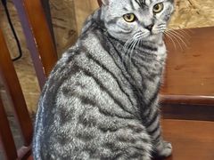 -聚首堂·特色小吃·肘子·炙子烤肉烤串(什刹海德胜门店)