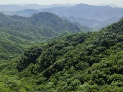 -大岭沟猕猴桃谷风景区