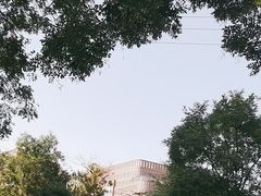 -中国宋庆龄青少年科技文化交流中心