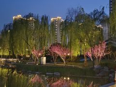 -木塔寺遗址生态公园