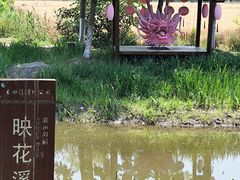 -长田漾湿地公园