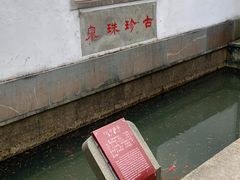 -杭州植物园
