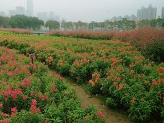 -海心沙亚运公园