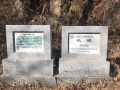 -蟠龙山长城景区