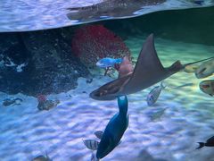 -沈阳海洋探索中心