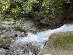 -鼎湖山风景区
