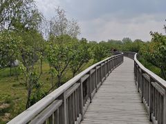 -羊亭河湿地公园