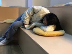 -Husky Go! 哈士奇体验馆·宠物咖啡厅狗咖