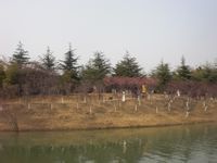 -白塘生态植物园