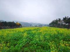 -红山村