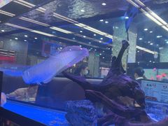 -新辉港式茶餐厅(北栅店)