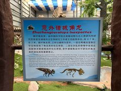 -诸城市恐龙博物馆