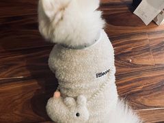 -comecome来吧宠物(奥克斯中心店)