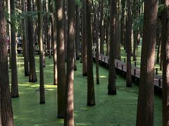 -青山湖景区