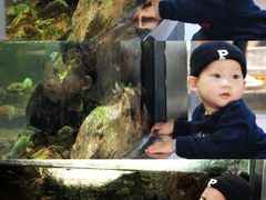-厦门园林博览苑
