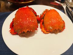 -Social 秀西餐厅-长沙瑞吉酒店(运达店)