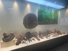 -广东中医药博物馆