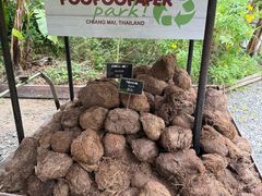 -大象粑粑造纸公园