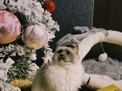 -零纪元VR体验馆·桌游(黄浦店)