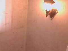 light-青岛市江苏路基督教堂