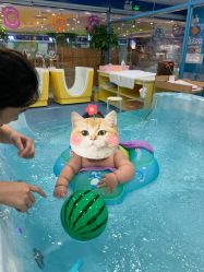 -蓝色海林婴幼儿水育馆(新辰里学清路店)