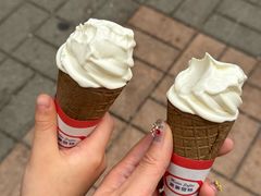 -富豪雪糕车流动点(尖沙咀)