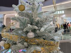 -小米之家(渝中龙湖时代天街店)