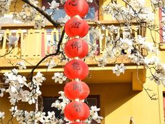-杭州上天竺法喜讲寺