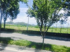 -东钱湖旅游度假区