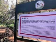 -临高角