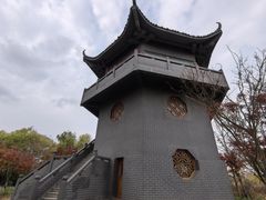 -盐城丹顶鹤湿地生态旅游区