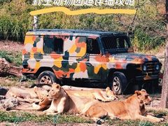 -北京野生动物园
