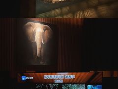 -菩泰·泰式草本按摩SPA(国大城市广场店)