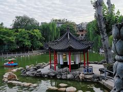 -莲湖公园