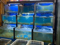 水产区-老东镇啤酒屋海鲜加工·蒸汽海鲜·海鲜烧烤(台东店)