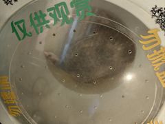 -丫丫汤膳打边炉(宏府408坊店)