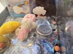 -Xcape异时刻密室逃脱魔法互动(瑞虹天地太阳宫店)