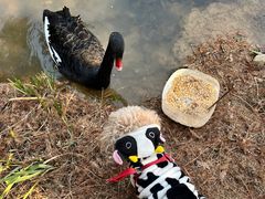 -宝岩生态观光园