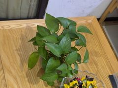 -张钰强中医正骨推拿连锁(华发商都店)